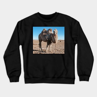 Bactrian Camel2. Crewneck Sweatshirt